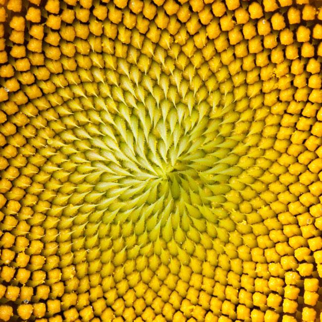 About Cargill Cargill South Africa